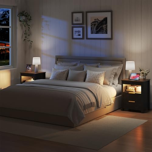 Dystler Nightstand with Gun Drawer - Bedside Table with Charging Station and 2 Drawers, Smart Side Table with 3-Color Human Sensor LED Lights for Bedroom, Black Dystler