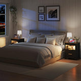 Dystler Nightstand with Gun Drawer - Bedside Table with Charging Station and 2 Drawers, Smart Side Table with 3-Color Human Sensor LED Lights for Bedroom, Black Dystler
