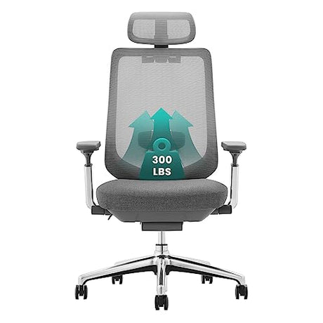 COLAMY Ergonomic Mesh Office Chair, High Back Office Chair, Computer Executive Desk Chair with Lumbar Support,Adjustable Headrest and 4D Arms, Slide Seat, Tilt Lock-Darkgrey New COLAMY