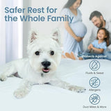 SafeRest Waterproof Queen Size Mattress Protector - Fitted with Stretchable Pockets - Machine Washable Cotton Blend Mattress Cover for Bed SafeRest