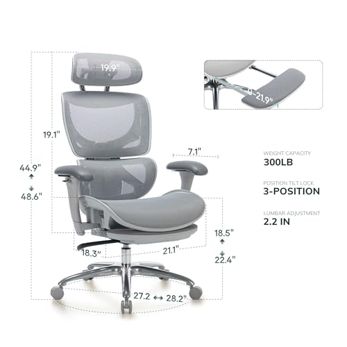 COLAMY AERIX Futuristic Mesh Ergonomic Office Chair, Gray COLAMY