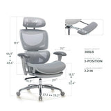 COLAMY AERIX Futuristic Mesh Ergonomic Office Chair, Gray COLAMY
