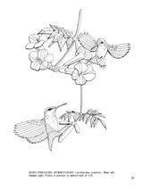 Fifty Favorite Birds Coloring Book (Dover Animal Coloring Books) Dover Publications