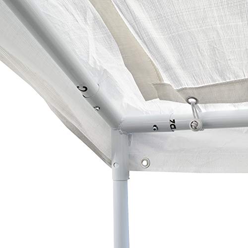 Caravan Canopy D2C20011 Domain Shelters Pro 200 10' x 20' Carport, Upgraded Version, White Caravan Canopy