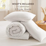 Bedsure Queen Comforter Set White, Soft Prewashed Queen Size Bedding, Quilted Comforter with Clover Design, Down Alternative Comforter for All Seasons, 3 Pieces Bed Set with 2 Pillow Shams Bedsure