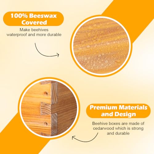 POLLIBEE 10 Frame Bee Hive, Beeswax Coated Beehive Include 2 Deep Bee Boxes and 1 Medium Bee Box with Beehive Frames and Foundation. POLLIBEE
