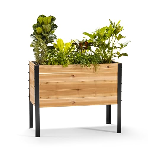 EARTH ELEVATED 100% Canadian Cedar Wood Elevated Garden Bed for Gardening - Planter Pot to Grow Herbs Flowers, and Vegetables at Home Indoor and Outdoor Patio Balcony Deck - 18” x 36” x 30” - WoodArtSupply