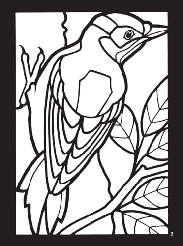 Birds Mini Stained Glass Coloring Book (Dover Little Activity Books: Animals) Dover Publications