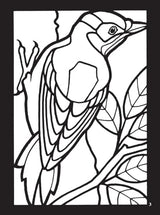 Birds Mini Stained Glass Coloring Book (Dover Little Activity Books: Animals) Dover Publications