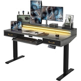 FEZIBO 55 x 25 Inch Height Adjustable Electric Standing Desk with Double Drawers&Keyboard Tray, Stand Up Desk with LED Strips, Sit Stand Desk with Monitor Stand, Rustic Grey FEZIBO