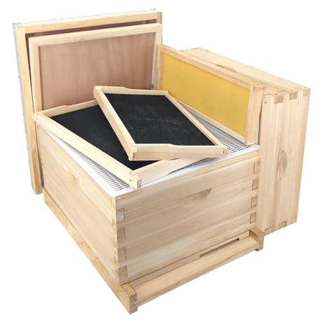 POLLIBEE Beehive 8 Frame Bee Hive Starter Kit, Bee Hives Include 1 Deep Brood Bee Box and 1 Medium Hive Box with Bee Frames and Waxed Beehive Foundation, Complete Bee Hive for Beginner POLLIBEE