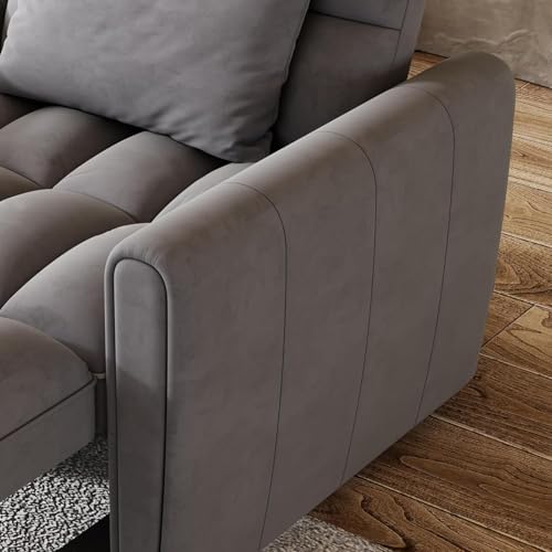 3 In 1 Velvet Convertible Single Sofa Bed,Pull Out Couch Bed With Reclining Backrest &Pillows,38.2" Modern Chaise Lounge Sleeper Sofa Futon Chair Bed,Couches for Small Spaces,Living Room (Dark Gray) Xinmviec