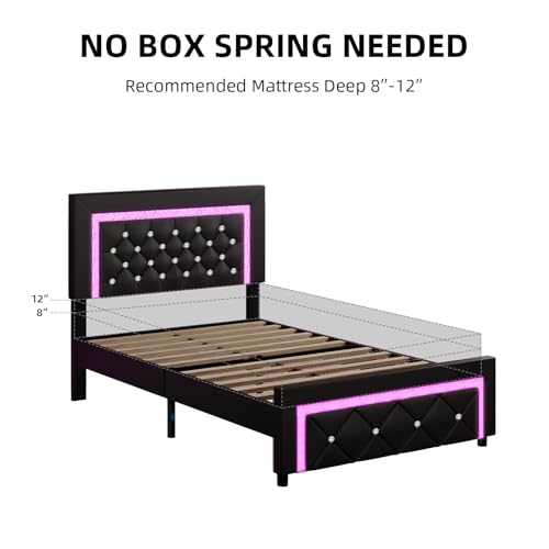 BarnFurin Twin Bed Frame with LED Lights, Upholstered Platform Bed with Diamond Tufted Headboard, No Box Spring Needed, Noise Free, Easy Assembly, Black BarnFurin