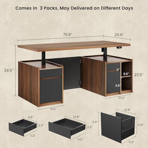 ModernMate Executive Standing Desk with Drawers & Storage, 71'' Adjustable Electric Stand Up Wood Desk with Privacy Panel, AC/USB, File Cabinet, Large One-Piece Destop for Home Office, Black Walnut ModernMate