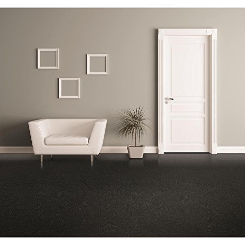 Rust-Oleum 306325 RockSolid Pearlescent 1 Car Garage Floor Coating Kit, Pearl Black Rust-Oleum