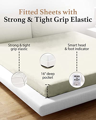 Good Sleep Bedding Twin XL Fitted Sheet - 800 TC Extra Long Twin Sheets for Dorm, 100% Egyptian Cotton, Soft & Breathable XL Twin Fitted Sheets Only, 16 Inch Twin XL Deep Pocket Fitted Sheets - Ivory Good Sleep Bedding