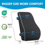 Lumbar Support Pillow for Office Chair, Office Home Essentials,Gifts for Mom,Dad, Back Support Pillow for Car, Chair Cushions,Back Pain Relief Improve Posture,Mesh Cover Double Adjustable Straps QUTOOL