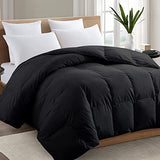TEXARTIST Premium 2100 Series Queen Comforter All Season Breathable Black Comforter Soft 4D Spiral Fiber Quilted Down Alternative Duvet Insert with Corner Tabs Luxury Hotel Style (88"x88") TEXARTIST