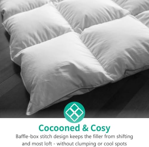 APSMILE Lightweight All-Season Down Feather Fibers Comforter Queen/Full Duvet Insert for Hot Sleepers/Warm Weather- Ultra-Soft High Fill-Power Hotel Collection Comforter, Thin Light Warmth(90"x90") APSMILE