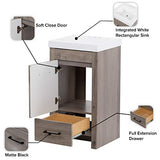 Spring Mill Cabinets Nixie 18 Inch Bathroom Vanity with White Single Sink Top, 1-Door Cabinet, 1 Drawer, 18.5" W x 16.75" D x 34.38" H, White Washed Oak Spring Mill Cabinets