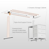 REAHOME Electric Standing Desk with Drawers, 47 x 24 Inches Height Adjustable Sit Stand Desk with Storage, 3 Memory Preset Home Office Computer Table, Printer Cabinet, 2 Hooks, Cable Management, White REAHOME