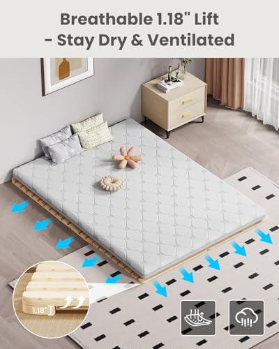 Meulbaty Bed Plate, Guest Tatami Bed Frame,Japanese Tatami Mat, Foldable Wood Slatted Floor Bed Frame for Futon Mattress, Breathable Moisture-Proof Floor Sleep Bedding (Queen) Meulbaty