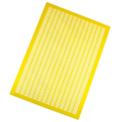 Starter Bee Hive with Frames & Wax Coated Foundations (NU8-1D1M) NuBee Hive