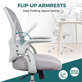 Smug Home Office Chair Ergonomic Desk Chair Mesh Computer Chair Modern Height Adjustable Swivel Chair with Lumbar Support/Flip-up Arms, Grey SMUG