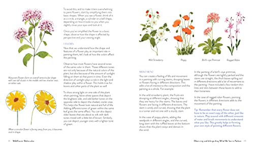 Wildflower Watercolor: The Beginner’s Guide to Painting Beautiful Florals WoodArtSupply