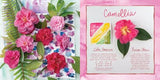 The Watercolor Feast: Learn to Paint Simple Fruits, Vegetables, and Flowers WoodArtSupply