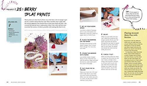 The Organic Artist for Kids: A DIY Guide to Making Your Own Eco-Friendly Art Supplies from Nature Quarry Books