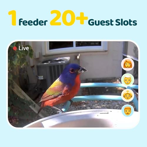 NETVUE Birdfy Lite - Smart Bird Feeder with Camera, Bird Watching Camera, Auto Capture Bird Videos & Motion Detection, Wireless Camera Ideal Gift for NETVUE