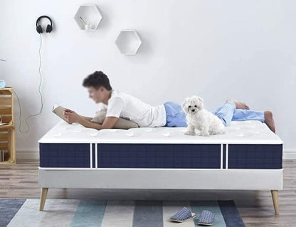 Coolvie Twin Mattress, 10 Inch Twin Size Hybrid Mattress, Individual Pocket Springs with Memory Foam, Bed in a Box, Cooler Sleep with Pressure Relief and Support