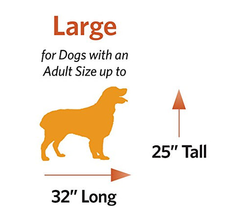 MidWest Homes for Pets Newly Enhanced Single Door iCrate Dog Crate, Includes Leak-Proof Pan, Floor Protecting Feet, Divider Panel & New Patented Features MidWest Homes for Pets
