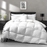 APSMILE Luxury All Season Down Feather Fibers Comforter Full/Queen Size Duvet Insert - 100% Organic Cotton, High Fill Power Medium Warmth, (Ivory White, 90X90) APSMILE