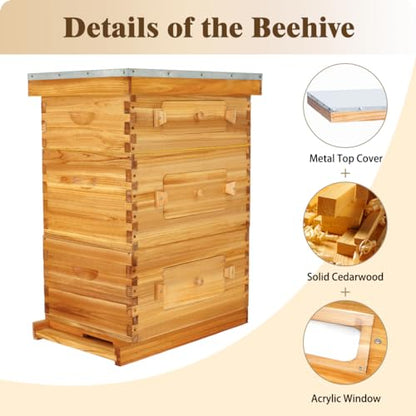 BeeCastle 10-Frame Langstroth Beehive with Windows, Beeswaxed Coated Bee Hive for Beginners with Beehive Frames and Waxed Foundations (2 Deep Bee Boxes & 1 Medium Super Bee Box) - WoodArtSupply