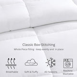 Casa Platino Quilted Bedding Comforter Twin Size - Duvet Insert with 8 Tabs - Super Soft, Comfy & Cozy All Season Twin Size Comforter - Down Alternative Bed Comforters - 66"x88", White Comforters Casa Platino