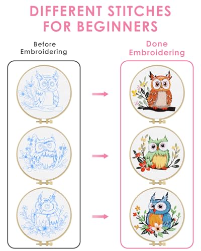 TINDTOP Embroidery Kit for Adults, Owl Embroidery Practice Kit for Adult Beginners Include Embroidery Cloth Hoops Threads for Craft Lover Hand Stitch with Embroidery Skill Techniques TINDTOP