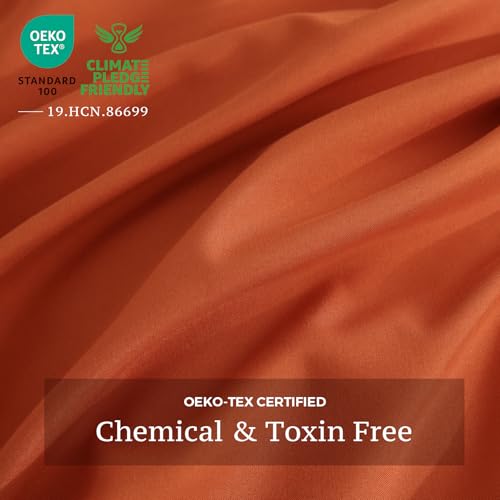 JSD Burnt Orange Duvet Cover Set Twin Size, 2 Piece Microfiber Kids Duvet Cover with Pillow Sham, Zipper Closure, Comforter Not Included JSD