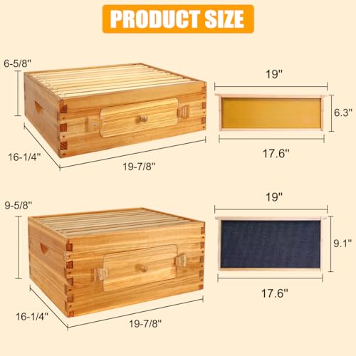 BeeCastle 10-Frame Langstroth Beehive with Windows, Beeswaxed Coated Bee Hive for Beginners with Beehive Frames and Waxed Foundations (2 Deep Bee Boxes & 1 Medium Super Bee Box) - WoodArtSupply