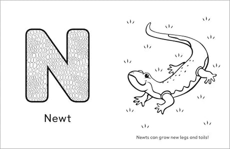 A Is for Animals!: Preschool Coloring Book Rockridge Press