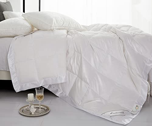 Lightweight Goose Down Comforter/Down Blanket/Duvet Insert for Summer/Warm Weather with Satin Trim, Noiseless & Extra Soft,White Full/Queen Size(90x90inch) Eastwarmth