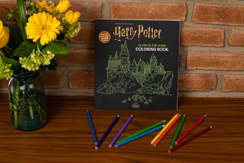 Harry Potter Glow in the Dark Coloring Book WoodArtSupply