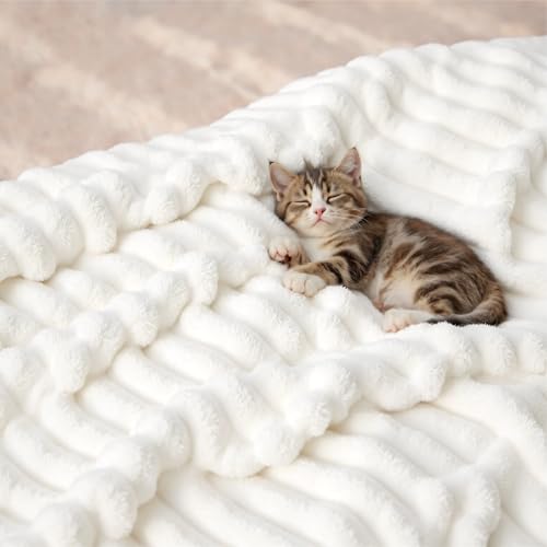 Bedsure GentleSoft King Size Blanket for Bed - Cozy Soft Blankets for Women, Cute Large Bedding Fleece Throws for Girls, Off White, 108x90 Inches Bedsure