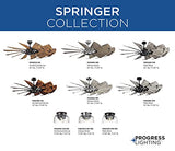Progress Lighting P250000-129 Springer Collection DC Motor Windmill Farmhouse, 60-Inch, 12-Blade Ceiling Fan, Architectural Bronze Progress Lighting