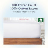 California Design Den Queen Fitted Sheet Only - 100% Cotton 400 Thread Count Sateen, Deep Pocket Fitted Sheet Queen, No-Pop Off Elastic - White California Design Den
