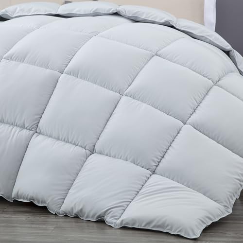 Chezmoi Collection All Season Twin Size Down Alternative Comforter - Plush Microfiber Fill - Box Stitch Quilted - Duvet Insert with Corner Tabs (Twin/Single, Silver Gray) Chezmoi Collection