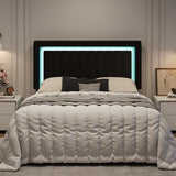 SHA CERLIN Queen Size Velvet Bed Frame with LED Light, Adjustable Vertical Channel Tufted Headboard, Strong Wooden Slats Support, Noise-Free, No Box Spring Needed, Black SHA CERLIN