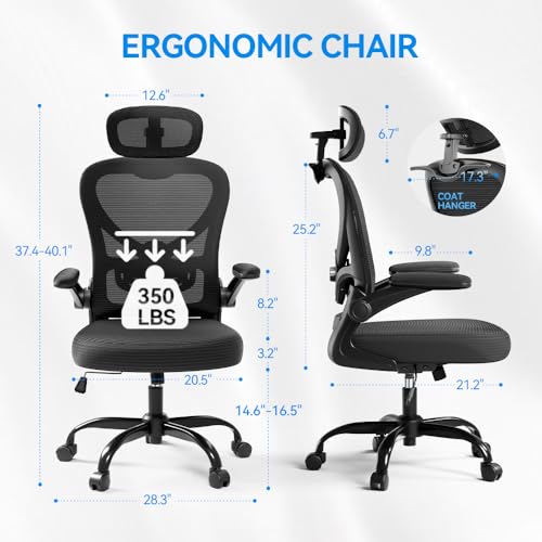 Freepub Ergonomic Office Chair with Headrest 3D, Mesh Office Desk Chair with Adjustable Lumbar Support, Computer Chair with Flip up Armrests, 350LBS Capacity - Design for Home/Offices - Black Freepub