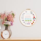 Louise Maelys Beginners Embroidery Kit, 8 Basic Stitches Practice Tool for Adults,Cross Stitch Starter Kits with Cloth Hoop Needles Instruction and Threads